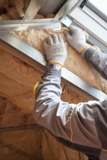 Best Eco-Friendly Insulation in Urbandale, IA
